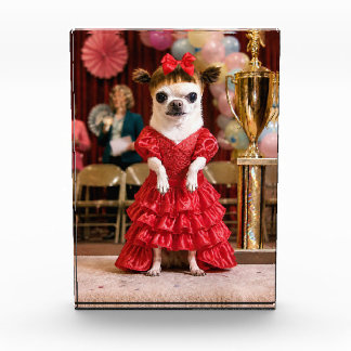 Reluctant Chihuahua Beauty Pageant Winner Photo Block