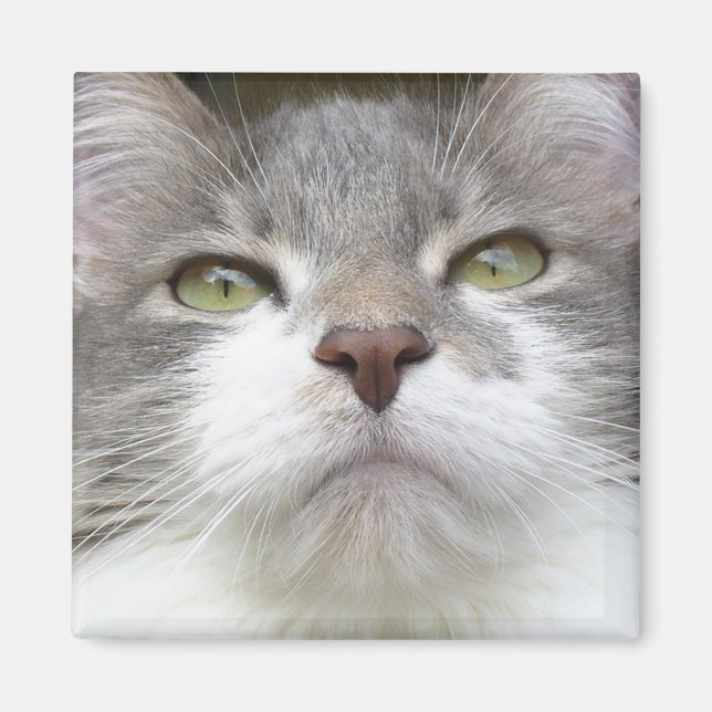 Rema Magnet 003 (Front)