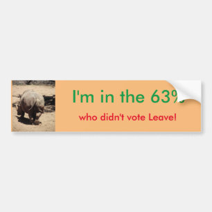 Remain in EU bumper sticker