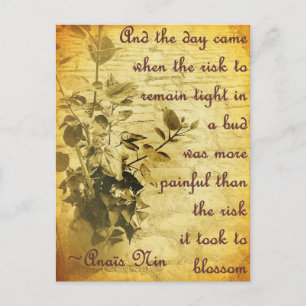 Remain Tight in the Bud Postcard