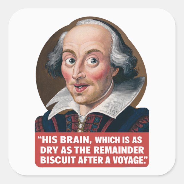 Remainder Biscuit Voyage - Shakespearean Insult  Square Sticker (Front)