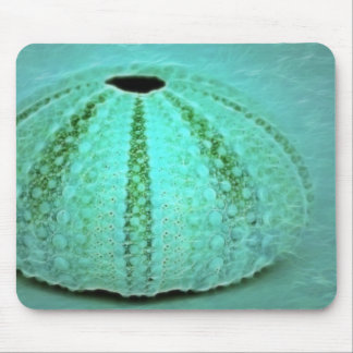 remains mouse mat