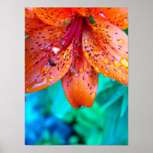 remains of summer rain poster