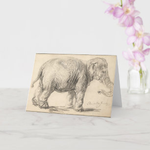 Rembrandt, An elephant, 1637, Fine Art Card
