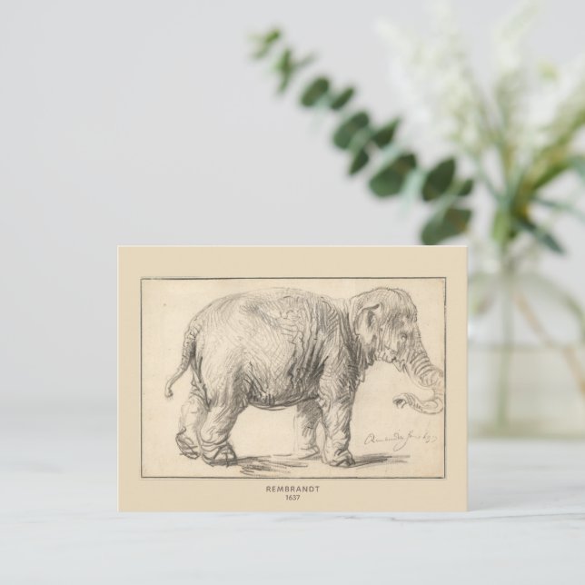 Rembrandt, An elephant, 1637, Fine Art  Postcard (Standing Front)