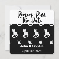 Remem-Purr Funny Modern Black and White Cat QR  Sa