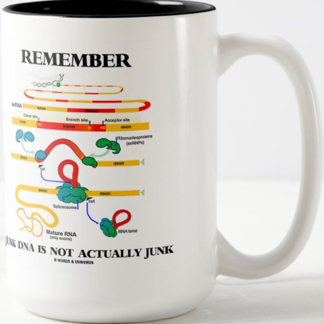 Remember Junk DNA Is Not Actually Junk Two-Tone Coffee Mug (Biologists and biology teachers will enjoy this mug featuring RNA splicing and scientific advice)