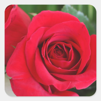 Remember Love Square Sticker