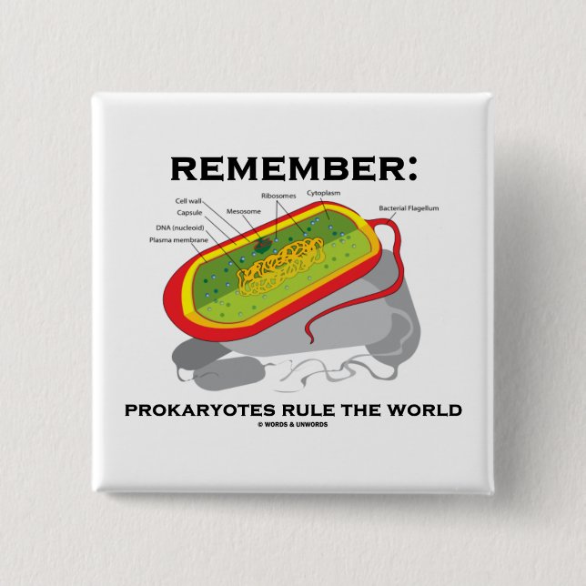 Remember: Prokaryotes Rule The World 15 Cm Square Badge (Front)