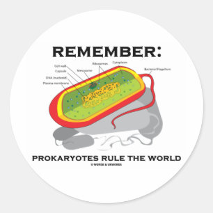 Remember: Prokaryotes Rule The World Classic Round Sticker