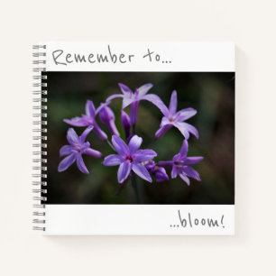 Remember to bloom Purple Blue Flowers Notebook