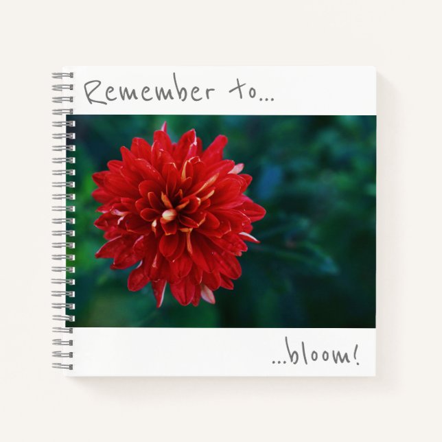 Remember to bloom Red Chrysanthemum Notebook (Front)