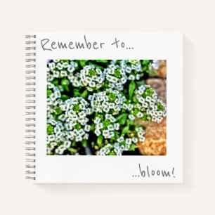 Remember to bloom Small White Flowers Notebook