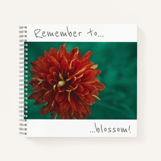 Remember to blossom Red Chrysanthemum Notebook (Front)