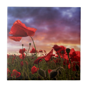 Remembering   Field of Poppies Tile