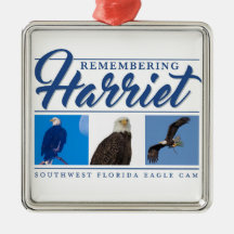 Remembering Harriet Ornament