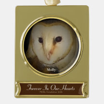 "Remembering Molly" 2016 MODs Foundation ornament