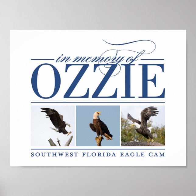 Remembering Ozzie Decorative Poster (Front)