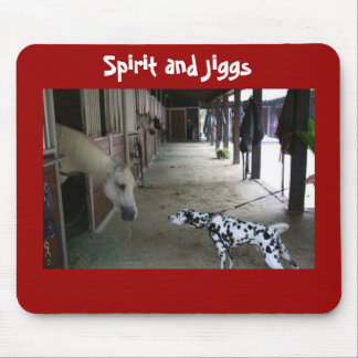 Remembering Spirit and Jiggs Meeting Mouse Mat