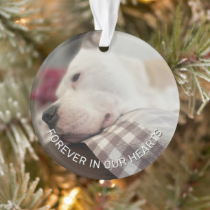 Remembrance Keepsake Paw Prints In Your Heart Ornament