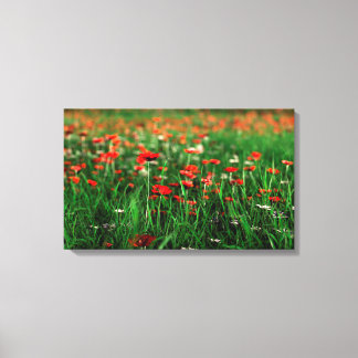 Remembrance (Remembrance Day) Canvas Print