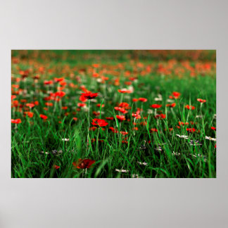 Remembrance (Remembrance Day) Poster