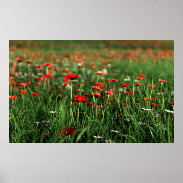 Remembrance (Remembrance Day) Poster (Front)