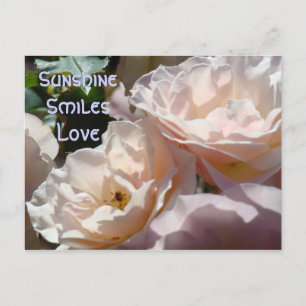 Reminded Me of You! postcard Pink Rose Flowers