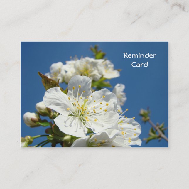 Reminder Cards Appointments Blue Sky Blossoms (Front)
