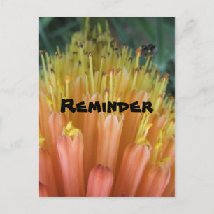 Reminder Postcard