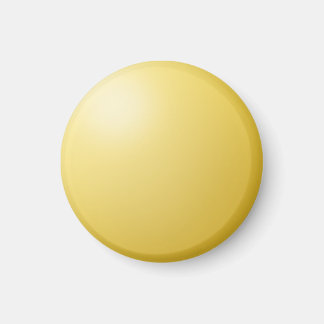 ReminderDot Sun Magnet