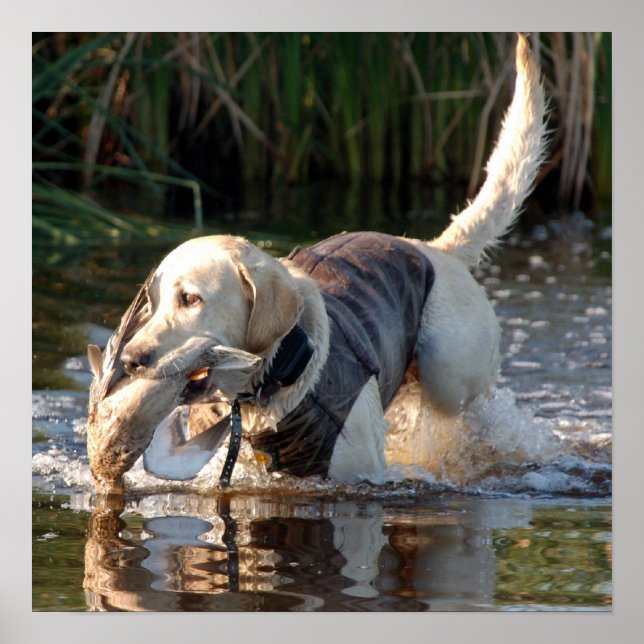 Remington Poster (Front)