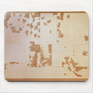 Remnant of a cadastre mouse mat