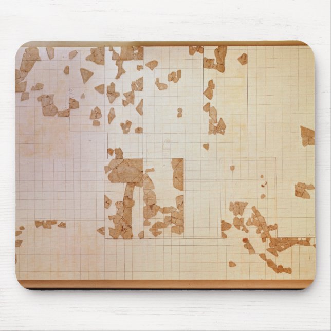 Remnant of a cadastre mouse mat (Front)