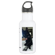 Remote cat funny water bottle KC sport white 18 oz