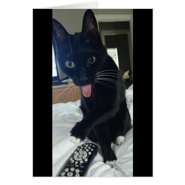 remote for chicken cat (Front)