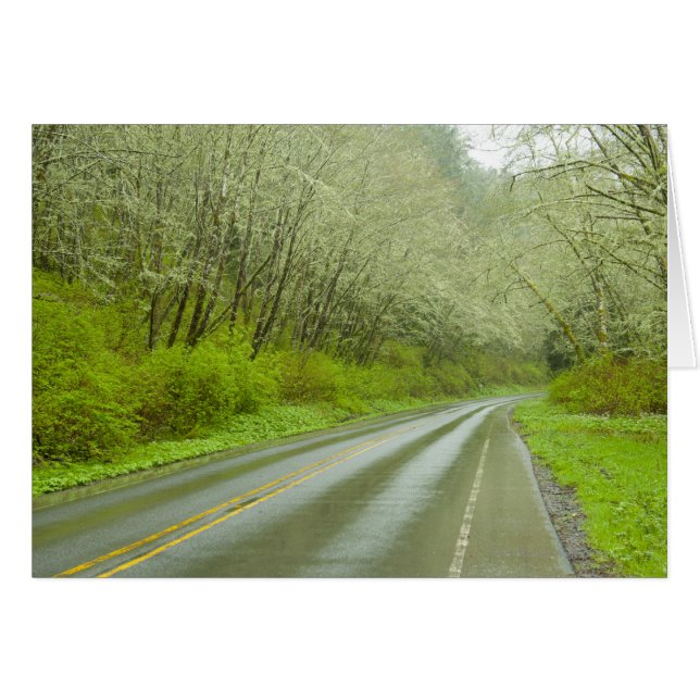 Remote highway through forest (Front Horizontal)