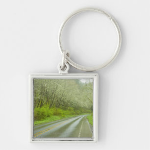 Remote highway through forest key ring