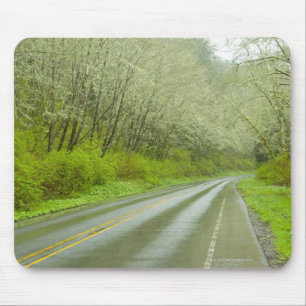 Remote highway through forest mouse mat