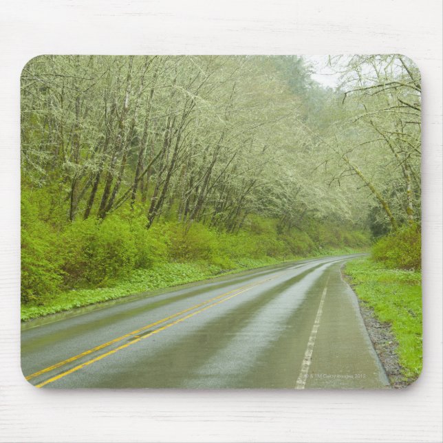 Remote highway through forest mouse mat (Front)