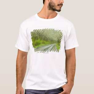Remote highway through forest T-Shirt