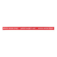 Remove Before Flight Aviation Flight Tag