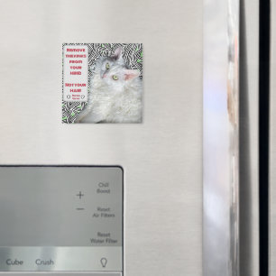 Remove the Kinks from your Mind, Not your Hair  Magnet