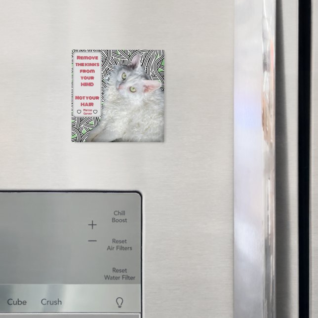 Remove the Kinks from your Mind, Not your Hair  Magnet (In Situ (Fridge))