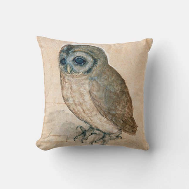RENAISSANCE ANIMAL DRAWINGS / THE OWL CUSHION (Front)