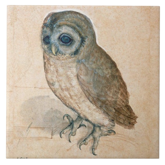 RENAISSANCE ANIMAL DRAWINGS / THE OWL TILE (Front)