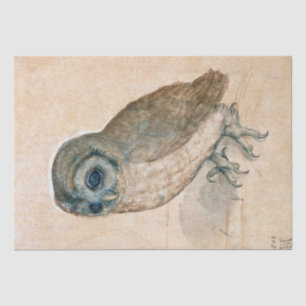 RENAISSANCE ANIMAL DRAWINGS /THE OWL TISSUE PAPER