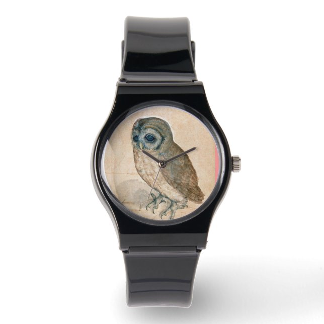 RENAISSANCE ANIMAL DRAWINGS / THE OWL WATCH (Front)