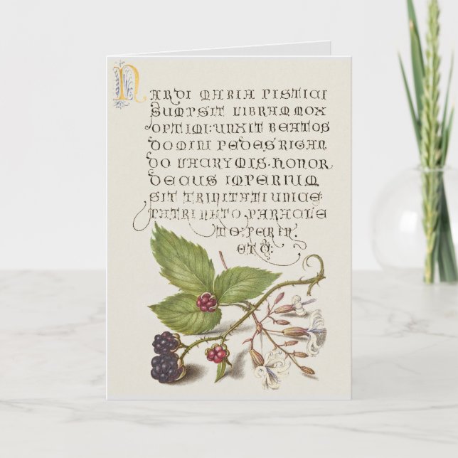 Renaissance Blackberry Fruit Calligraphy Card (Front)