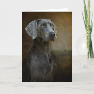 Renaissance Blue Card